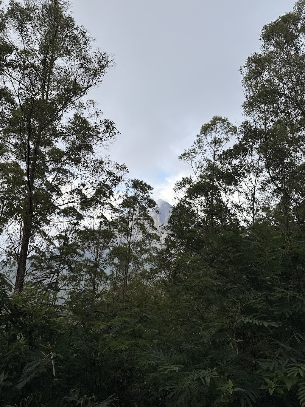 Bukit Avatar Bajawa: Hamparan Alam Bak Dunia Lain di Nusa Tenggara Timur