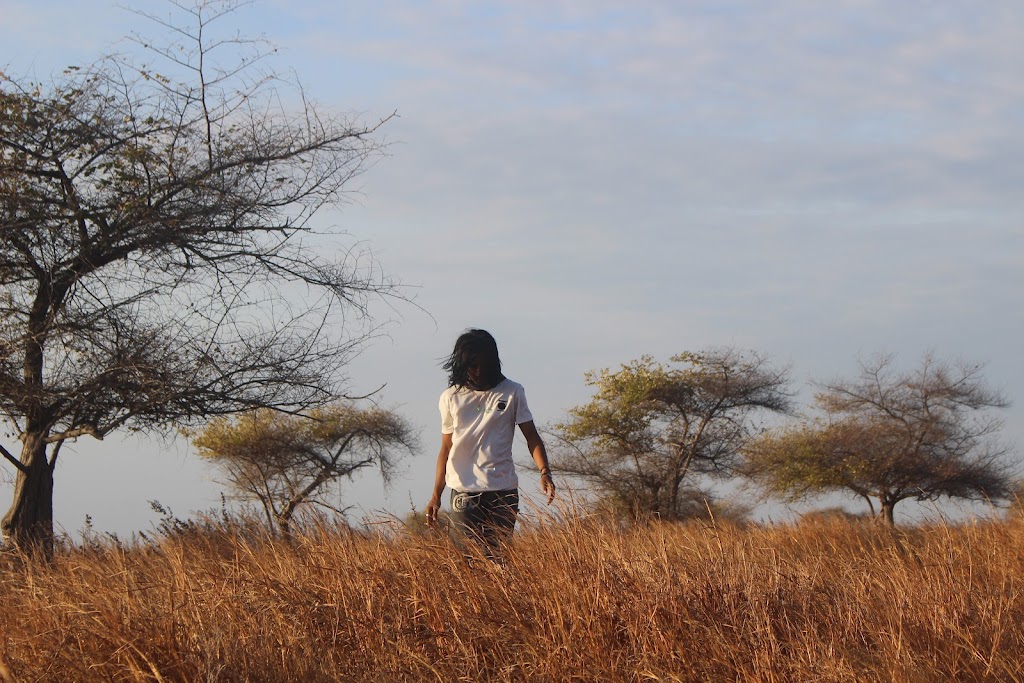 Savana Puru Kambera: Surga Tersembunyi di Sumba Timur