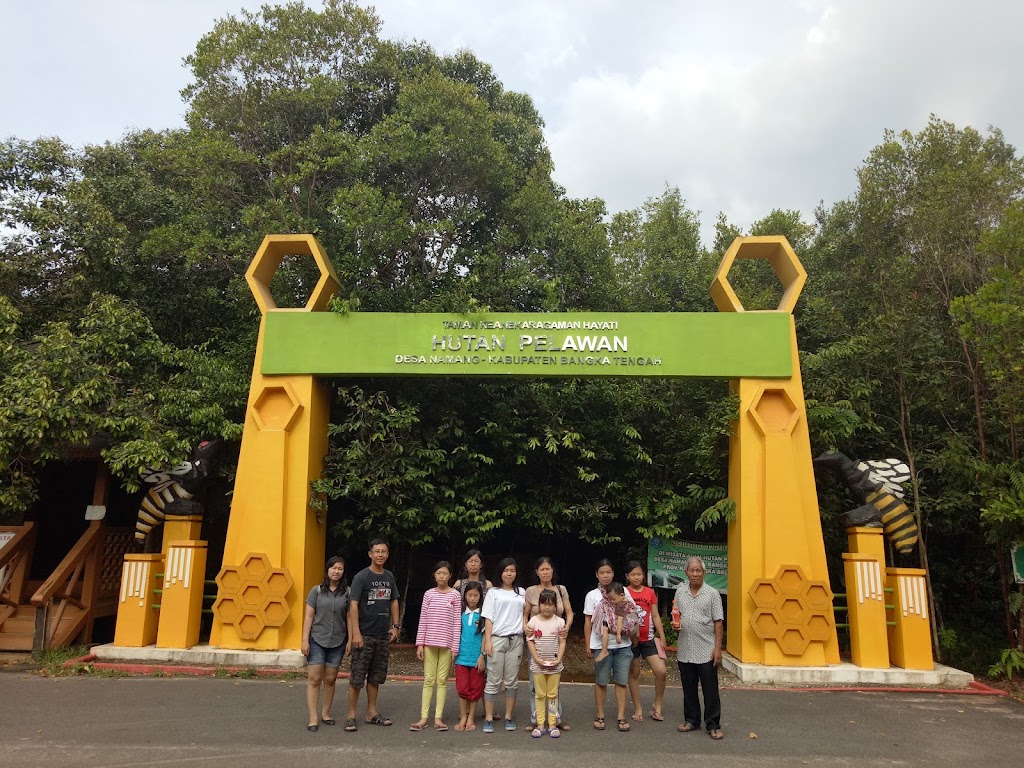Jelajah Hutan Pelawan: Keindahan Tersembunyi di Bangka Tengah Jelajah Hutan Pelawan: Keindahan Tersembunyi di Bangka Tengah