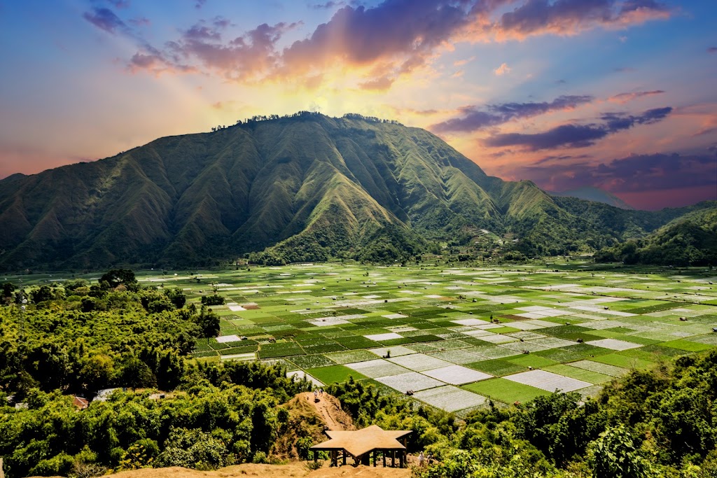 Bukit Selong: Pesona Alam Lombok Timur yang Memukau