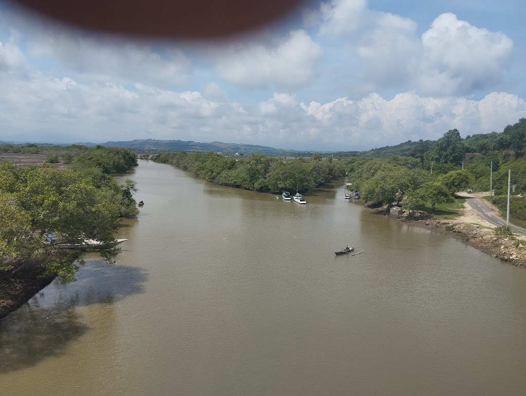 Jelajah Mangrove Park: Surga Tersembunyi di Moyo Utara, Sumbawa