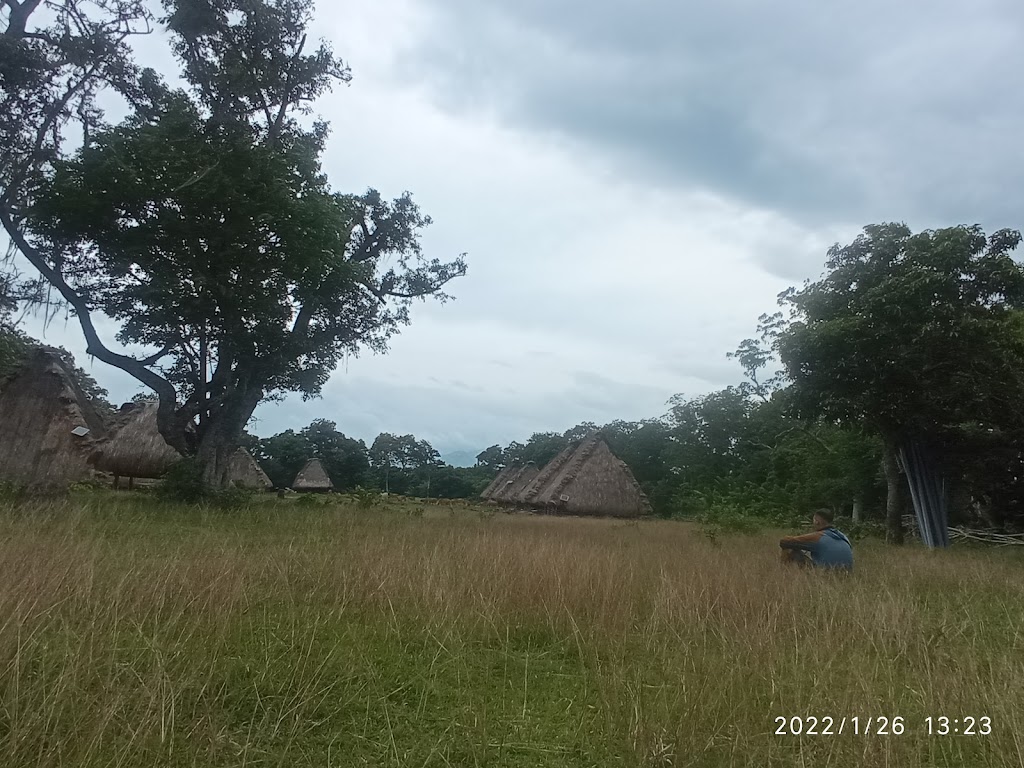 Jelajahi Keindahan Desa Adat Kawa di Nagekeo