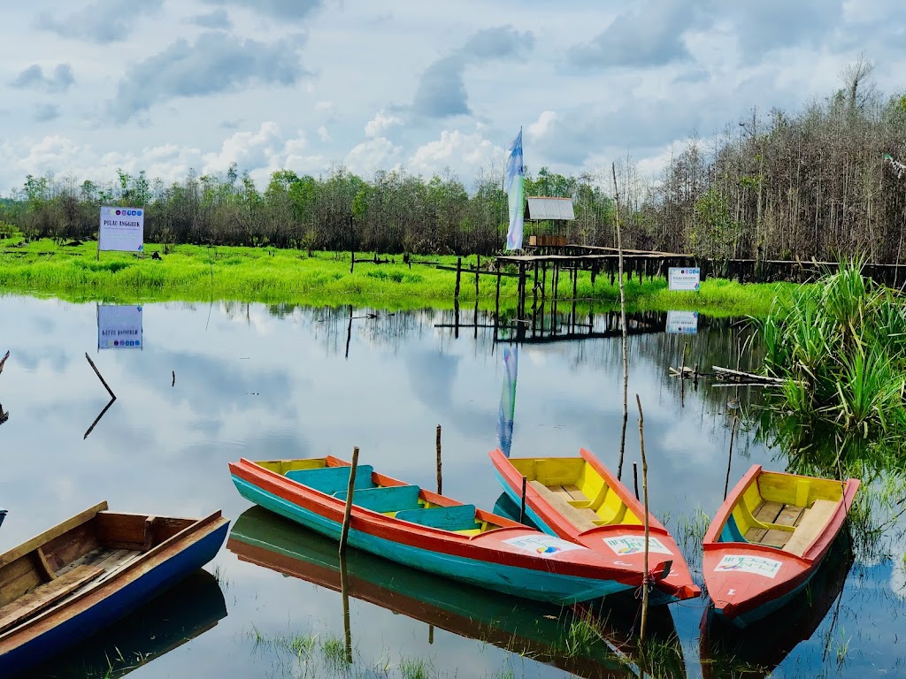 Jelajahi Keanekaragaman Hayati Sungai Upang di Bangka Belitung