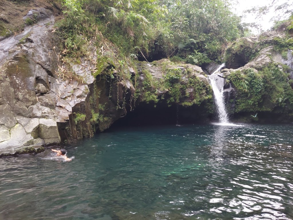 Telaga Sunyi: Pesona Tersembunyi di Banyumas