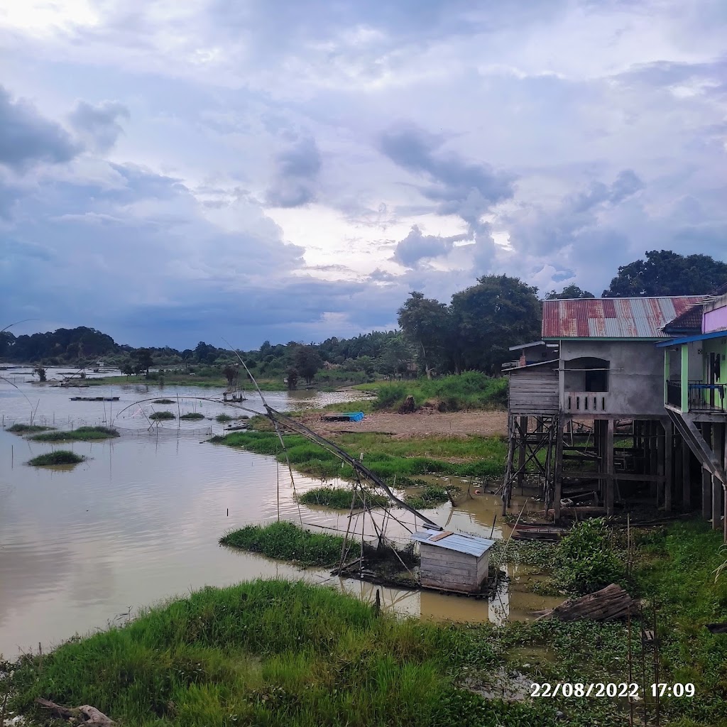 Pesona Danau Teluk Kenali: Permata Tersembunyi di Jambi