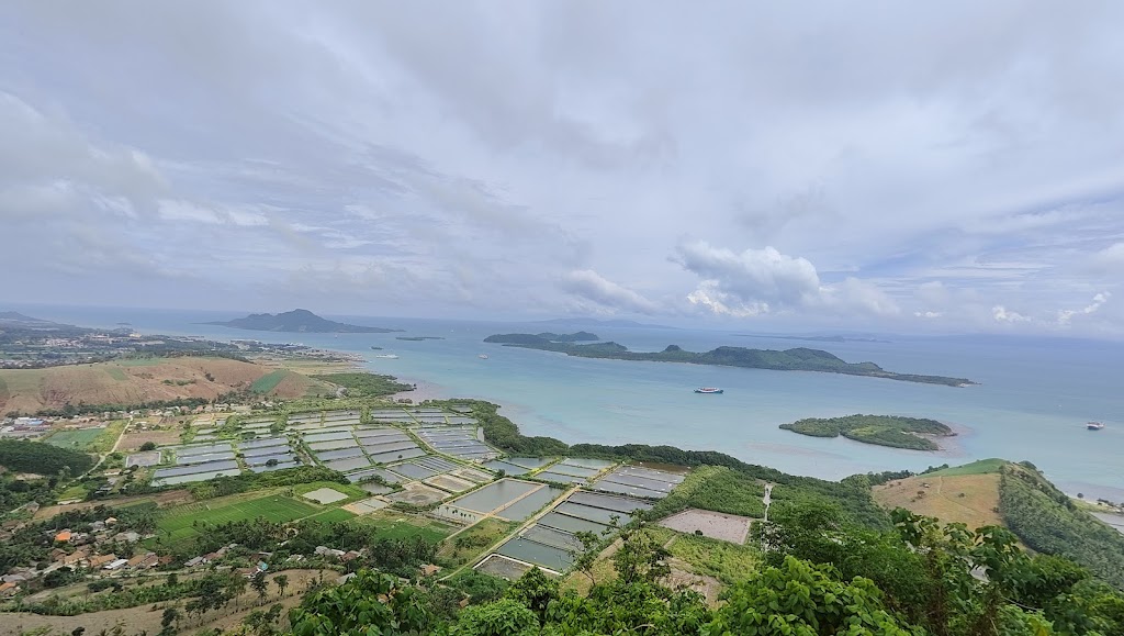 Saksikan Matahari Terbit yang Spektakuler di Bukit Pematang Sunrise, Lampung