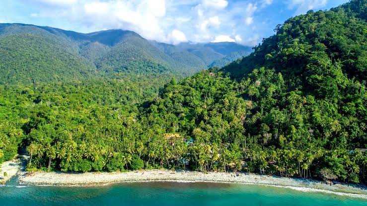 Jelajahi Kampung ORMU Necheibe, Papua: Pesona Tersembunyi di Tanah Cenderawasih