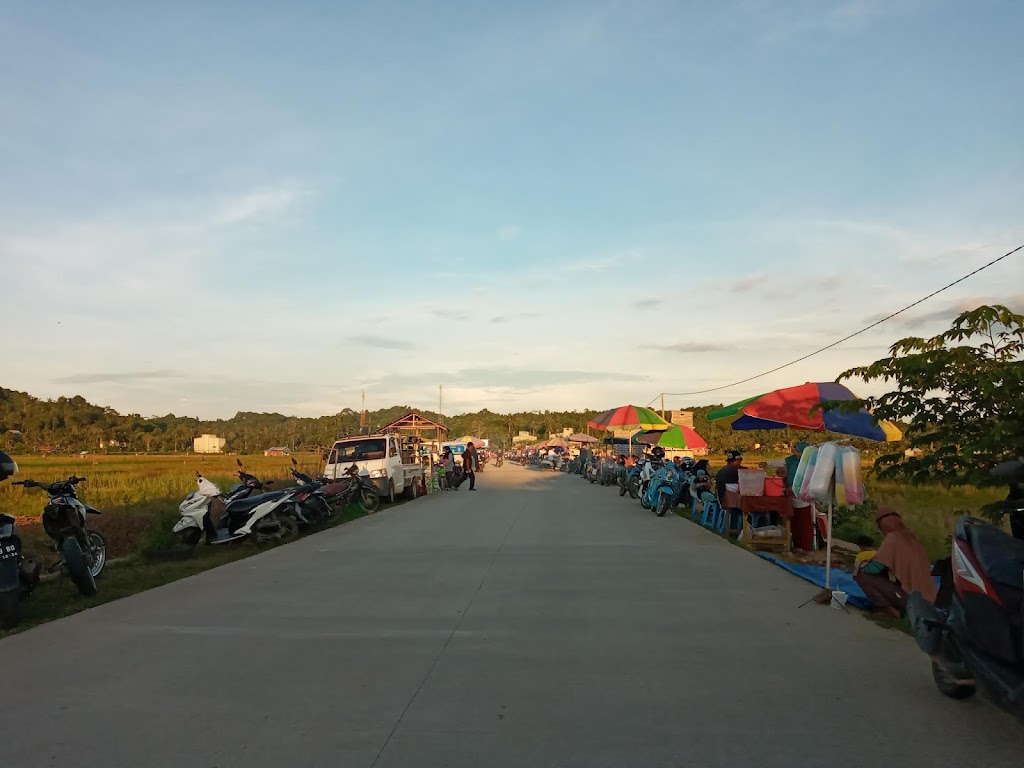 Pesona Wisata Sawah Betapus Samarinda: Keindahan Alam Kalimantan Timur