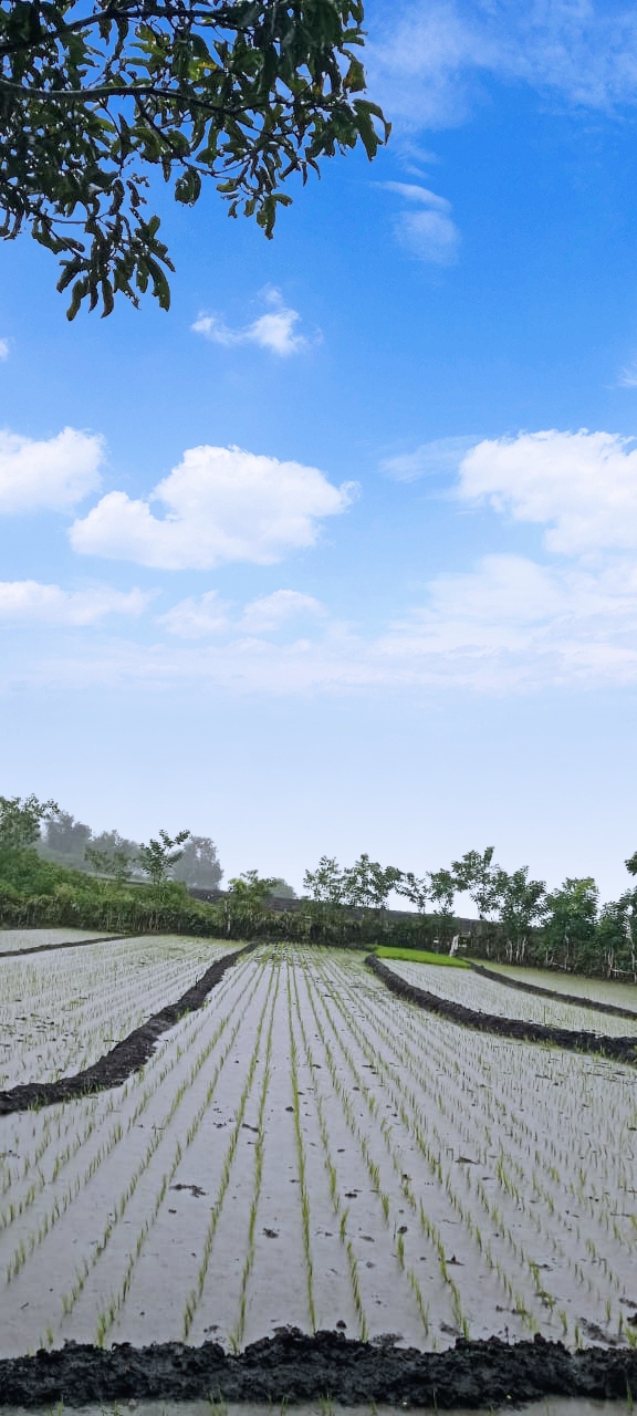 Malamara: Pesona Tersembunyi di Ngada, Nusa Tenggara Timur Malamara: Pesona Tersembunyi di Ngada, Nusa Tenggara Timur