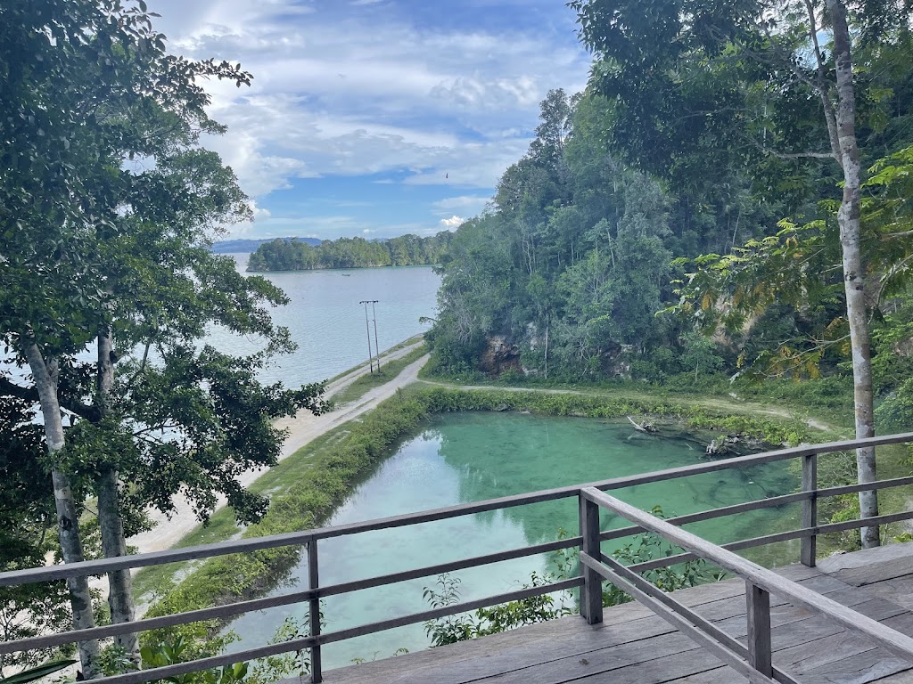 Pesona Kolam Sisir di Kabupaten Kaimana, Papua Barat