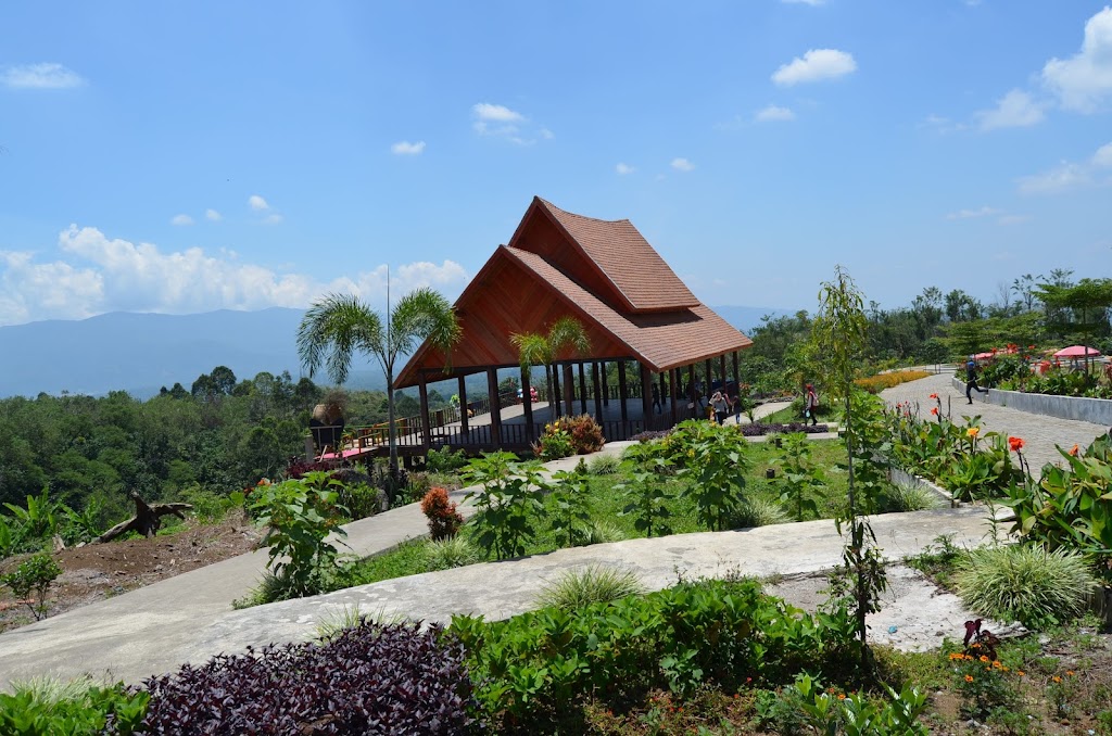 Jelajahi Keindahan Dempo Park di Pagar Alam Jelajahi Keindahan Dempo Park di Pagar Alam