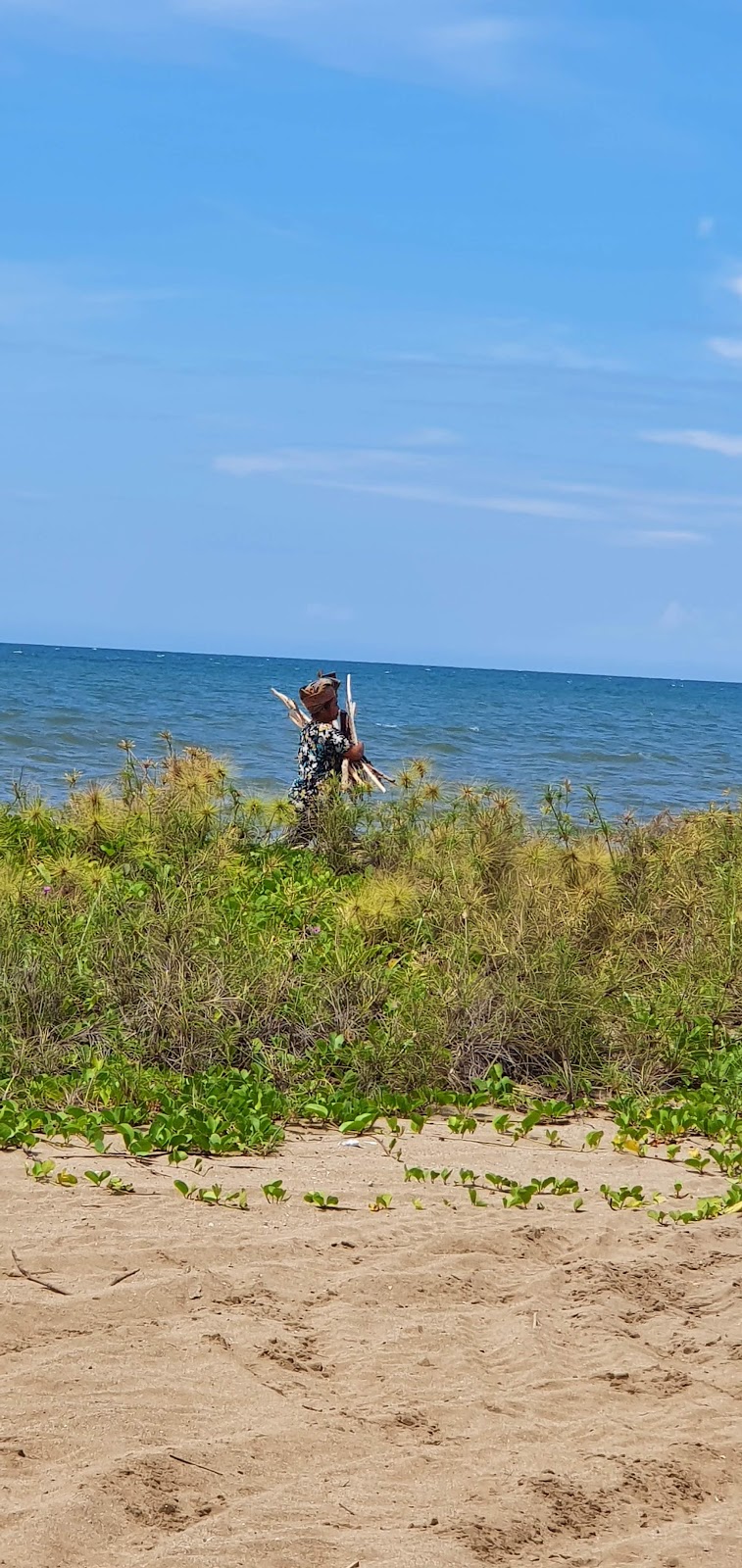Pesona Pantai Watulajar: Surga Tersembunyi di Nusa Tenggara Timur Pesona Pantai Watulajar: Surga Tersembunyi di Nusa Tenggara Timur