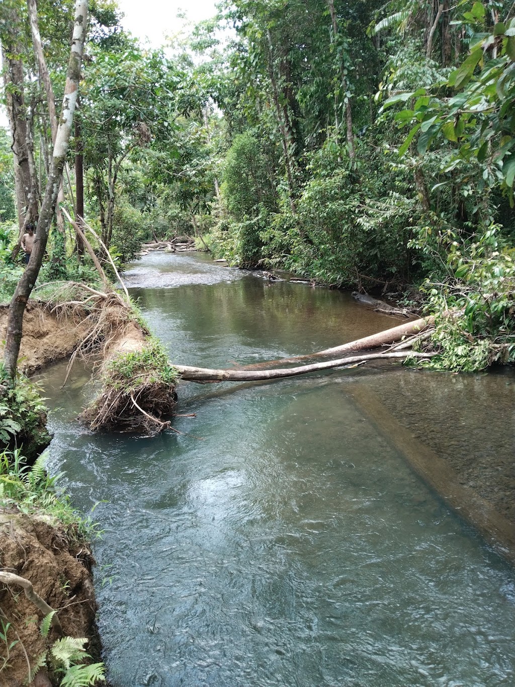 Pesona Kali Wania di Kabupaten Mimika, Papua Tengah