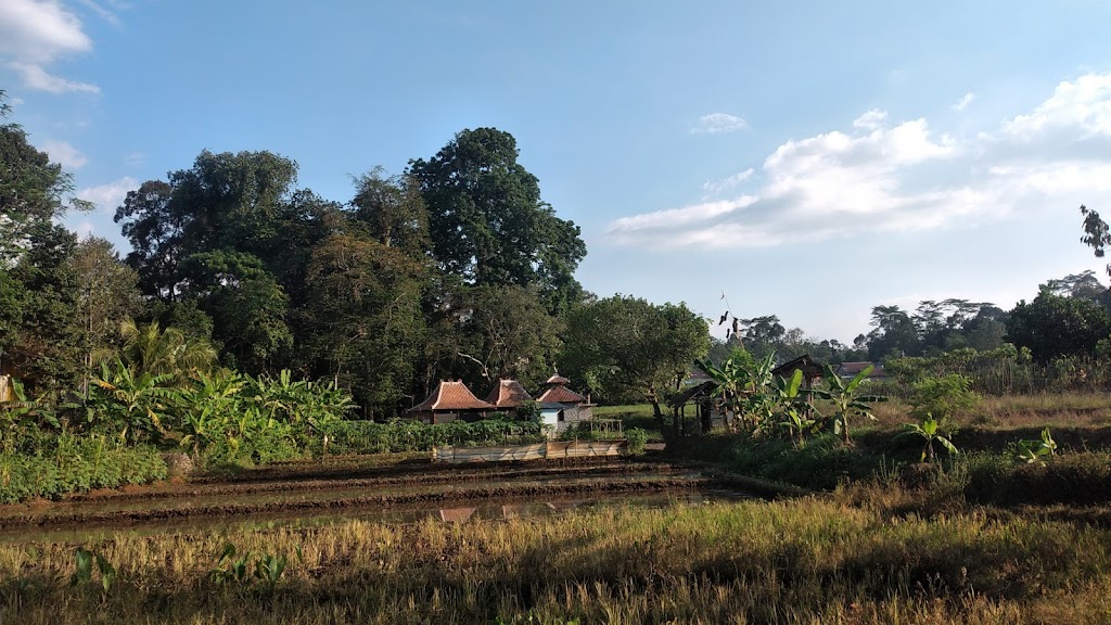Jelajahi Desa Wisata Kandri: Pesona Semarang di Lereng Gunung