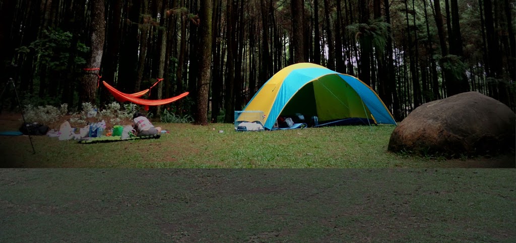 Sejuknya Taman Wisata Alam Gunung Pancar: Petualangan di Hutan Bogor