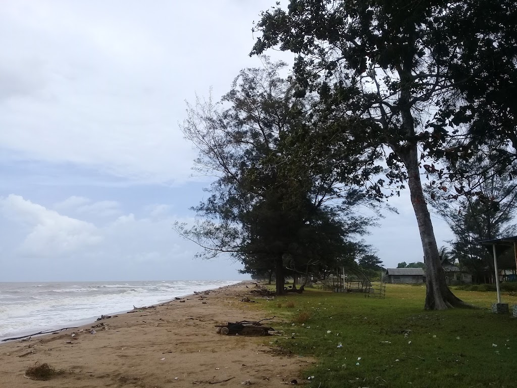 Pesona Pantai Swarangan: Surga Tersembunyi di Kalimantan Selatan