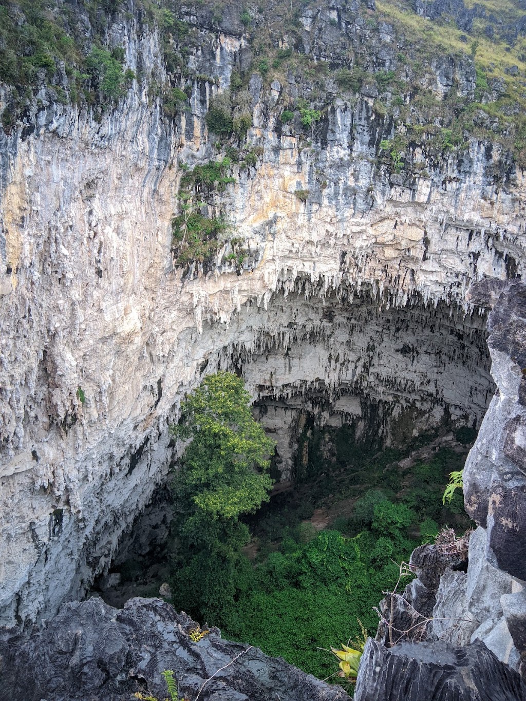 Jelajahi Pesona Gua Sinful Minimo di Papua: Petualangan Menakjubkan di Bumi Cenderawasih