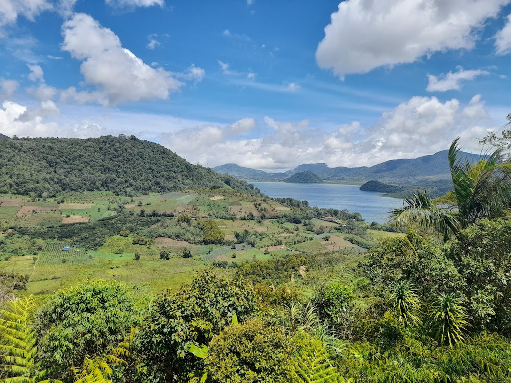 Puncak Moat: Pesona Alam Tersembunyi di Bolaang Mongondow Timur Puncak Moat: Pesona Alam Tersembunyi di Bolaang Mongondow Timur