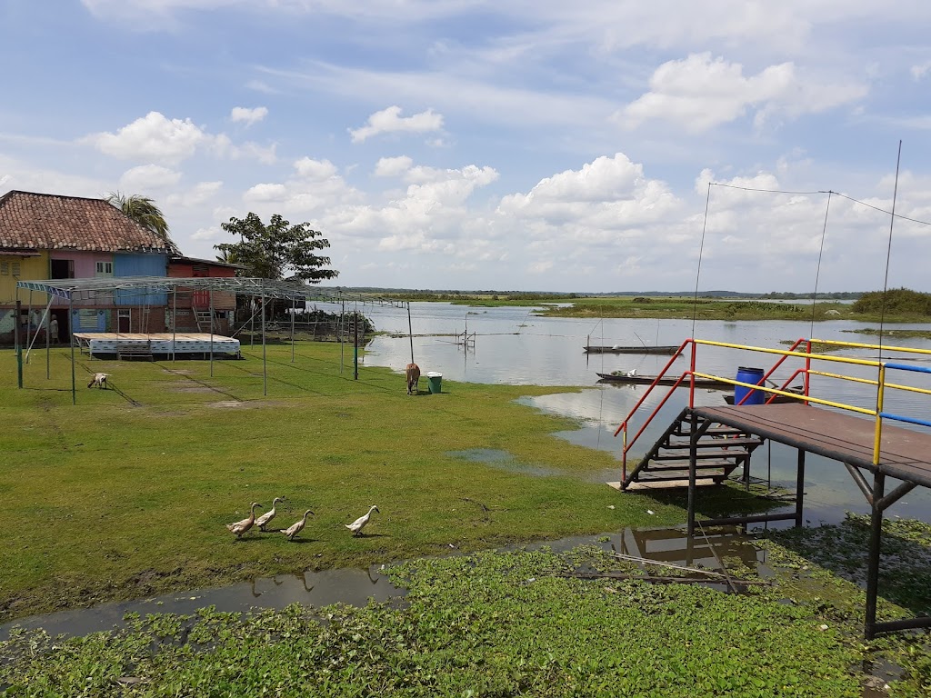 Kampung Warna-Warni Burai: Desa Wisata di Sumatera Selatan