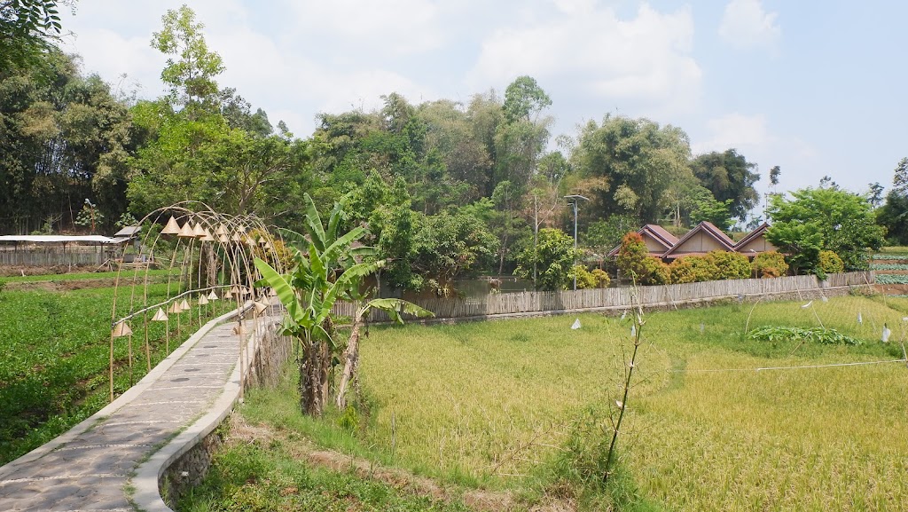 Saung Ciburial: Desa Wisata di Garut yang Menawan