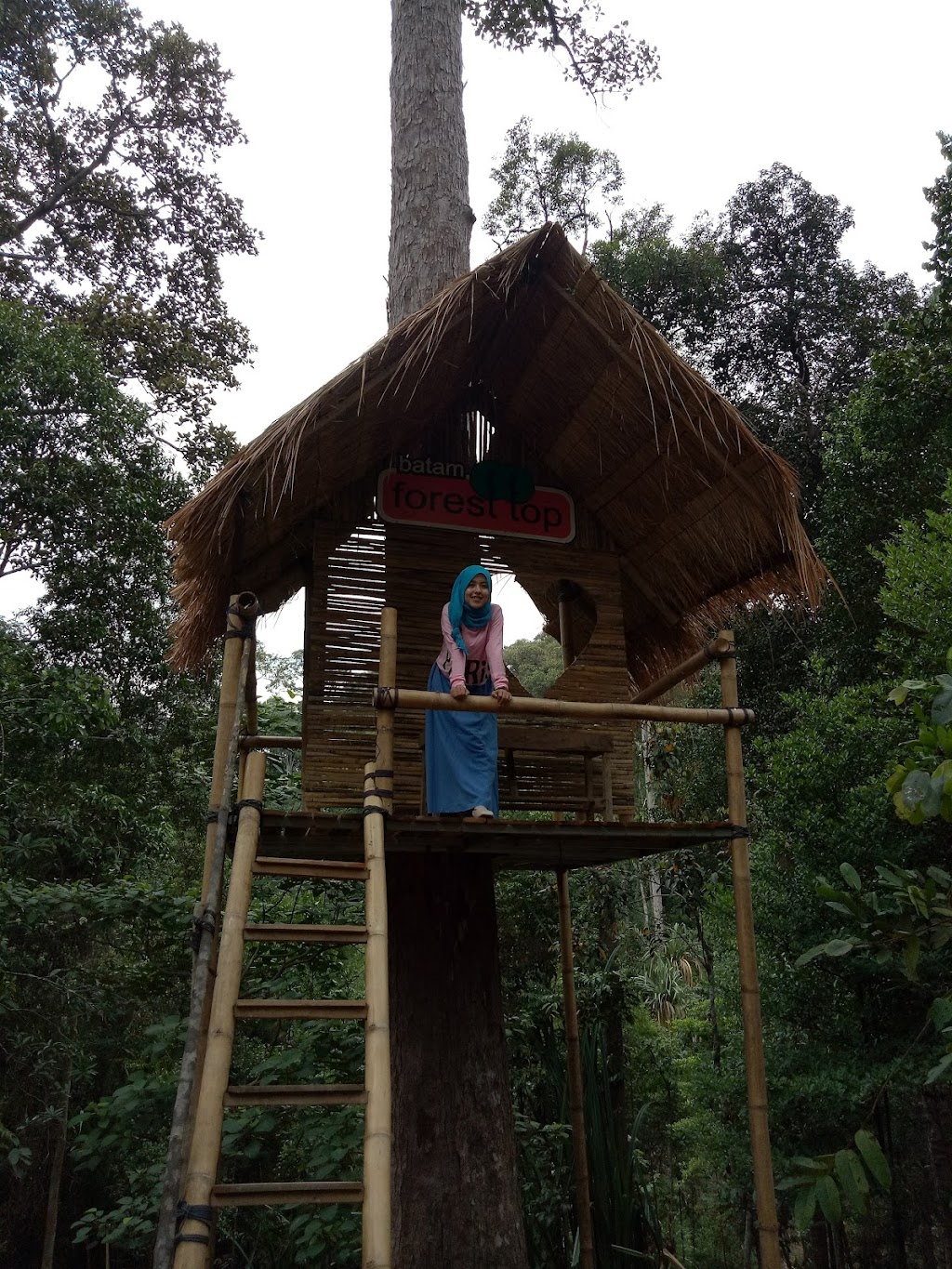 Petualangan Menakjubkan di Batam Forest Top