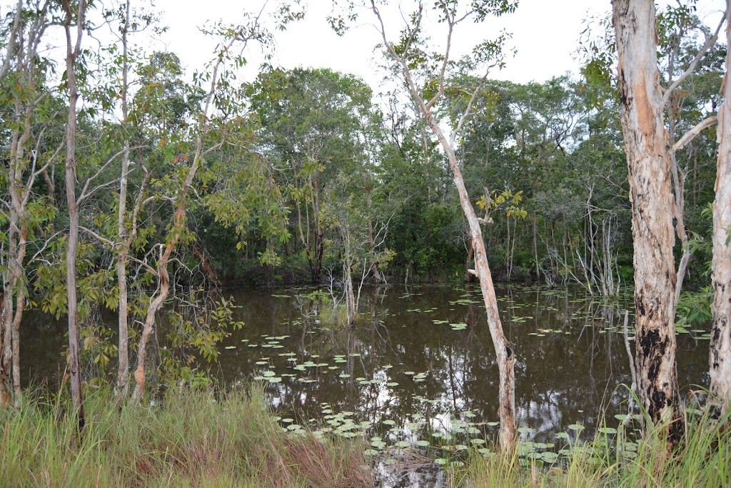 Taman Nasional Wasur: Surga Keanekaragaman Hayati Papua Taman Nasional Wasur: Surga Keanekaragaman Hayati Papua
