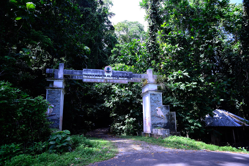 Gunung Meja Manokwari: Pesona Alam Papua Barat