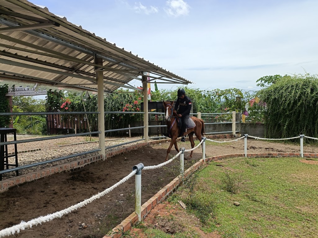 Plumeria Eco Park Muara Enim: Oase Keindahan di Sumatera Selatan Plumeria Eco Park Muara Enim: Oase Keindahan di Sumatera Selatan