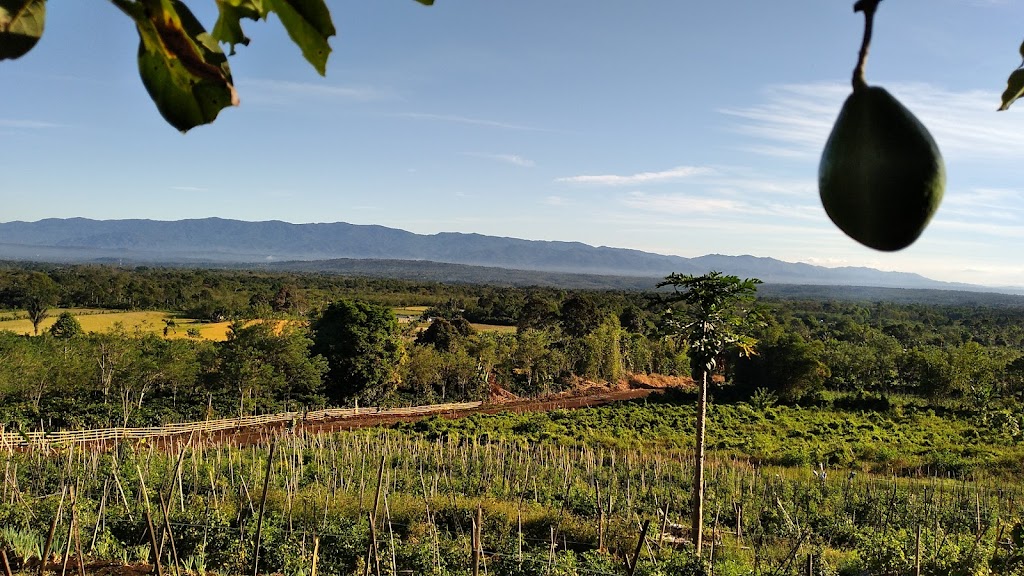 Tebat Lereh: Desa Wisata Menawan di Sumatera Selatan