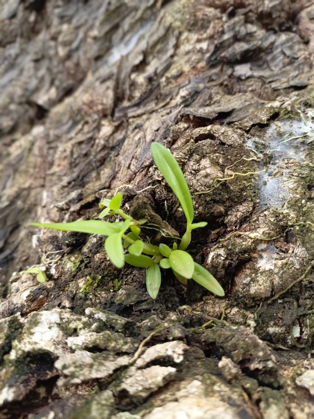 Pesona Danau Tebat Libok: Surga Tersembunyi di Sumatera Selatan Pesona Danau Tebat Libok: Surga Tersembunyi di Sumatera Selatan