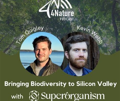 Wild ‘Superorganisms’ Spotted: Nature’s Collective Intelligence Revealed!