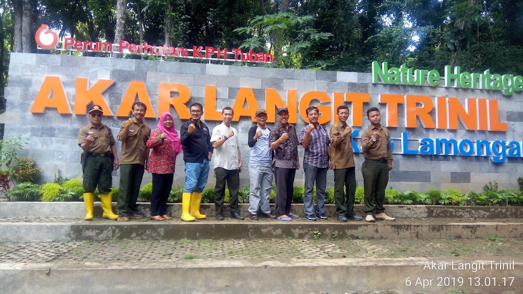 Menikmati Pesona Akar Langit Trinil di Lamongan