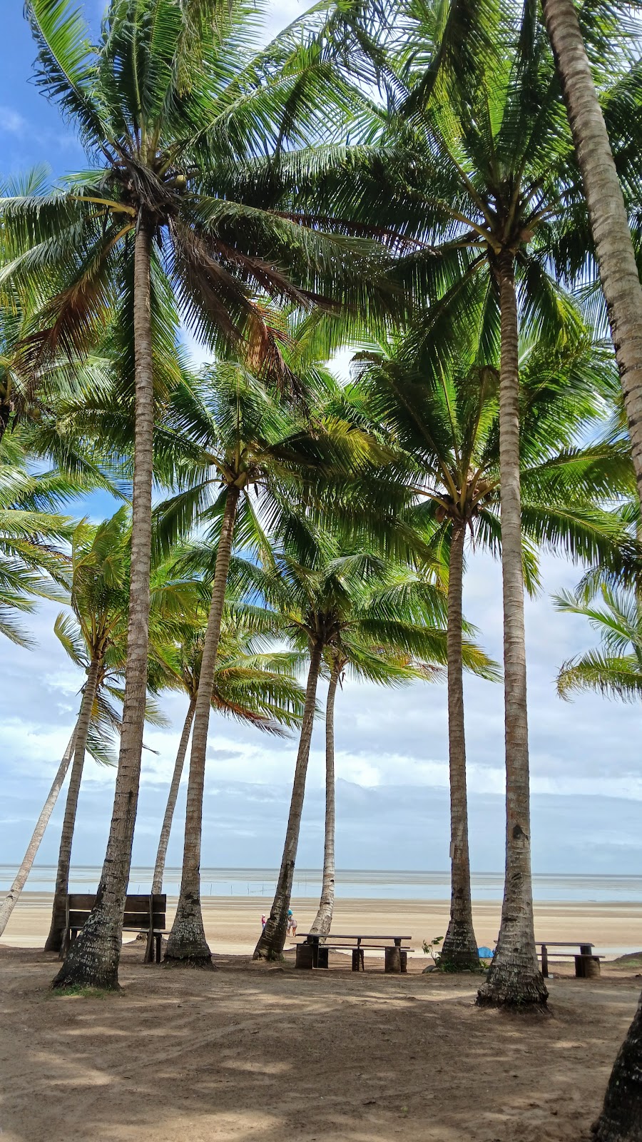 Pesona Pantai Anasai, Merauke: Surga Tersembunyi di Papua