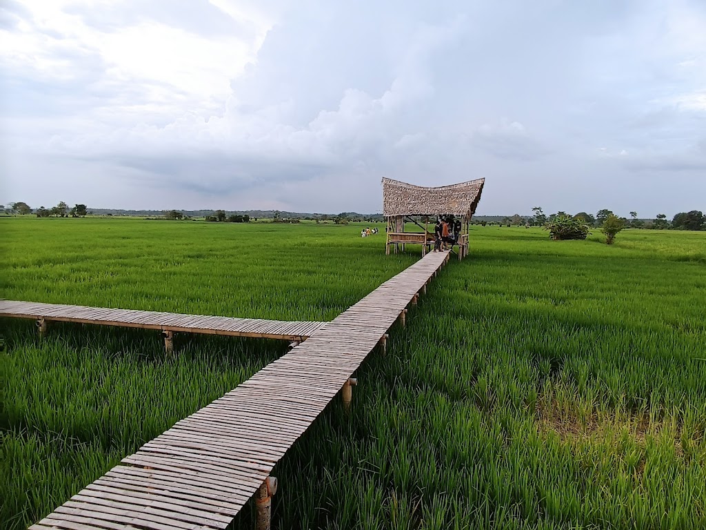Menjelajah Pondok Bambu, Palembang: Pesona Tersembunyi di Sumatera Selatan