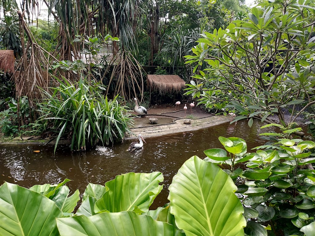 Jelajah Gembira Loka Zoo: Kebun Binatang Yogyakarta yang Menawan