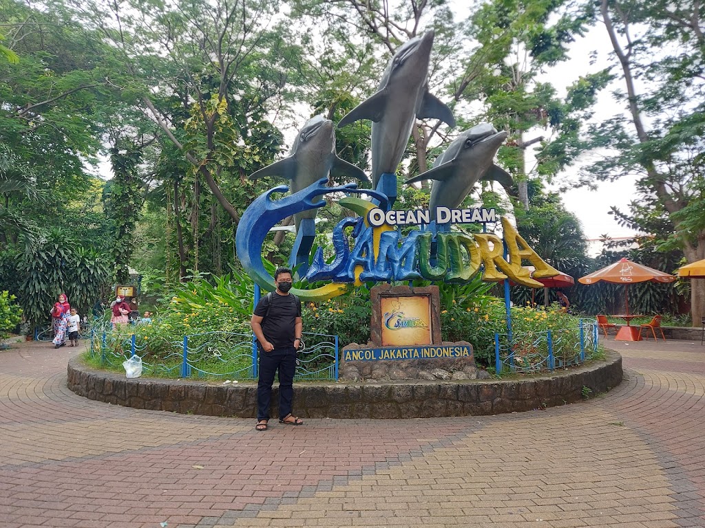 Ocean Dream Samudra Ancol: Petualangan Bahari di Jakarta Ocean Dream Samudra Ancol: Petualangan Bahari di Jakarta
