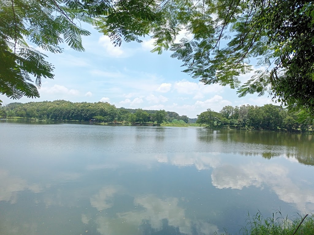 Pesona Waduk Tanjungan: Destinasi Menarik di Mojokerto
