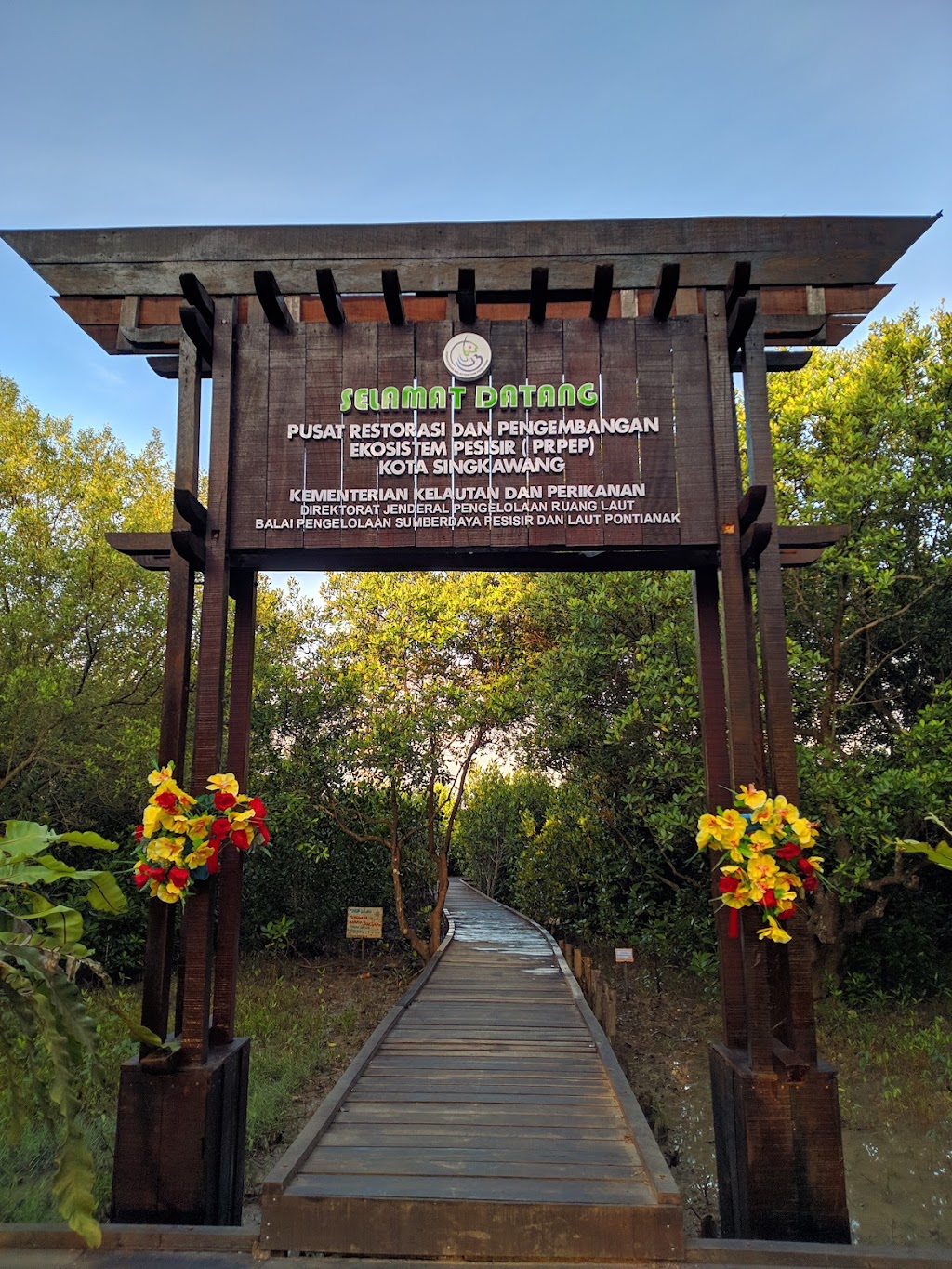 Eksplorasi Mangrove Setapuk Besar: Keindahan Alam Kalimantan Barat