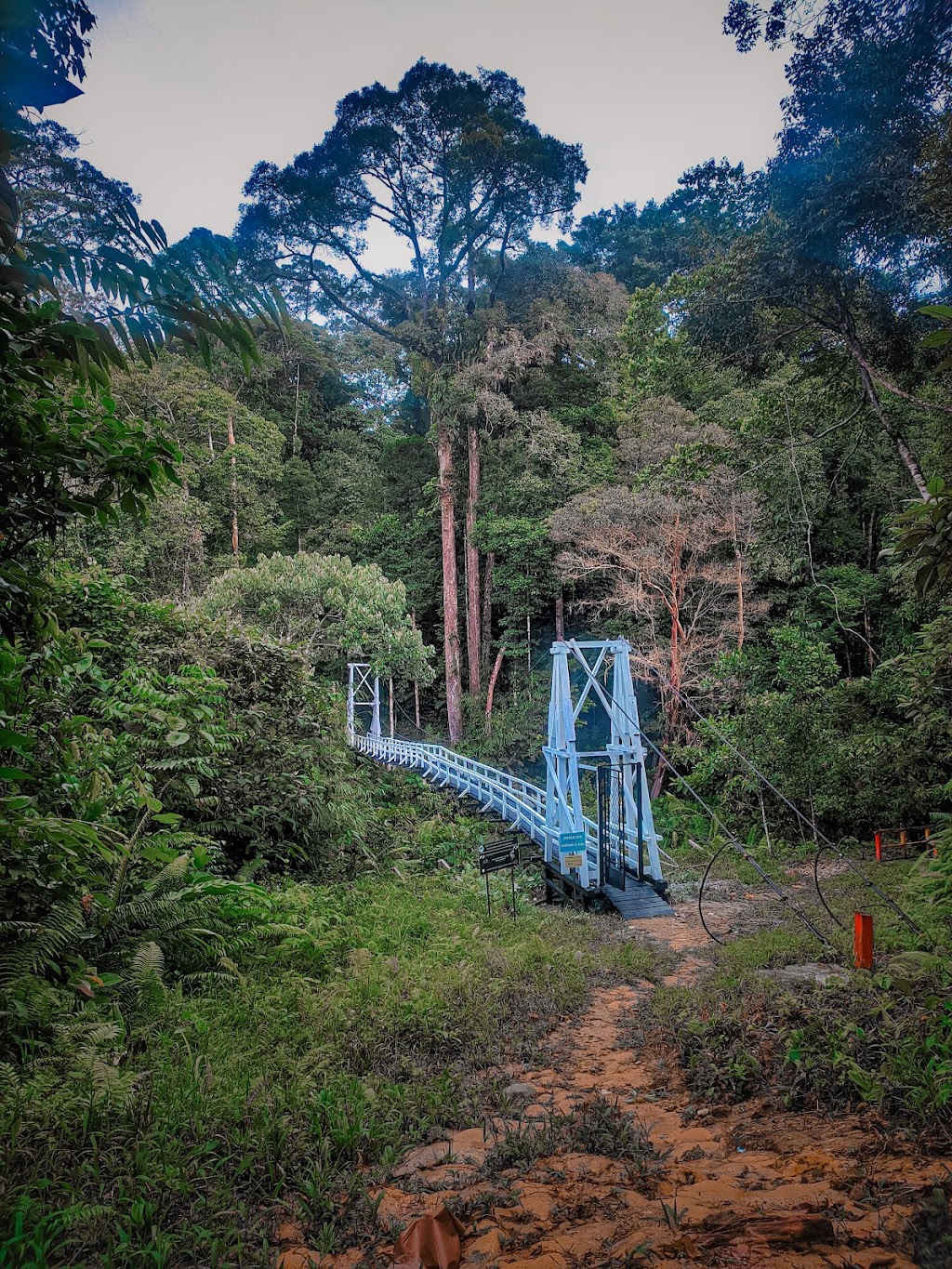 Jelajahi Pesona Wisata Alam Belaban, Kalimantan Barat Jelajahi Pesona Wisata Alam Belaban, Kalimantan Barat