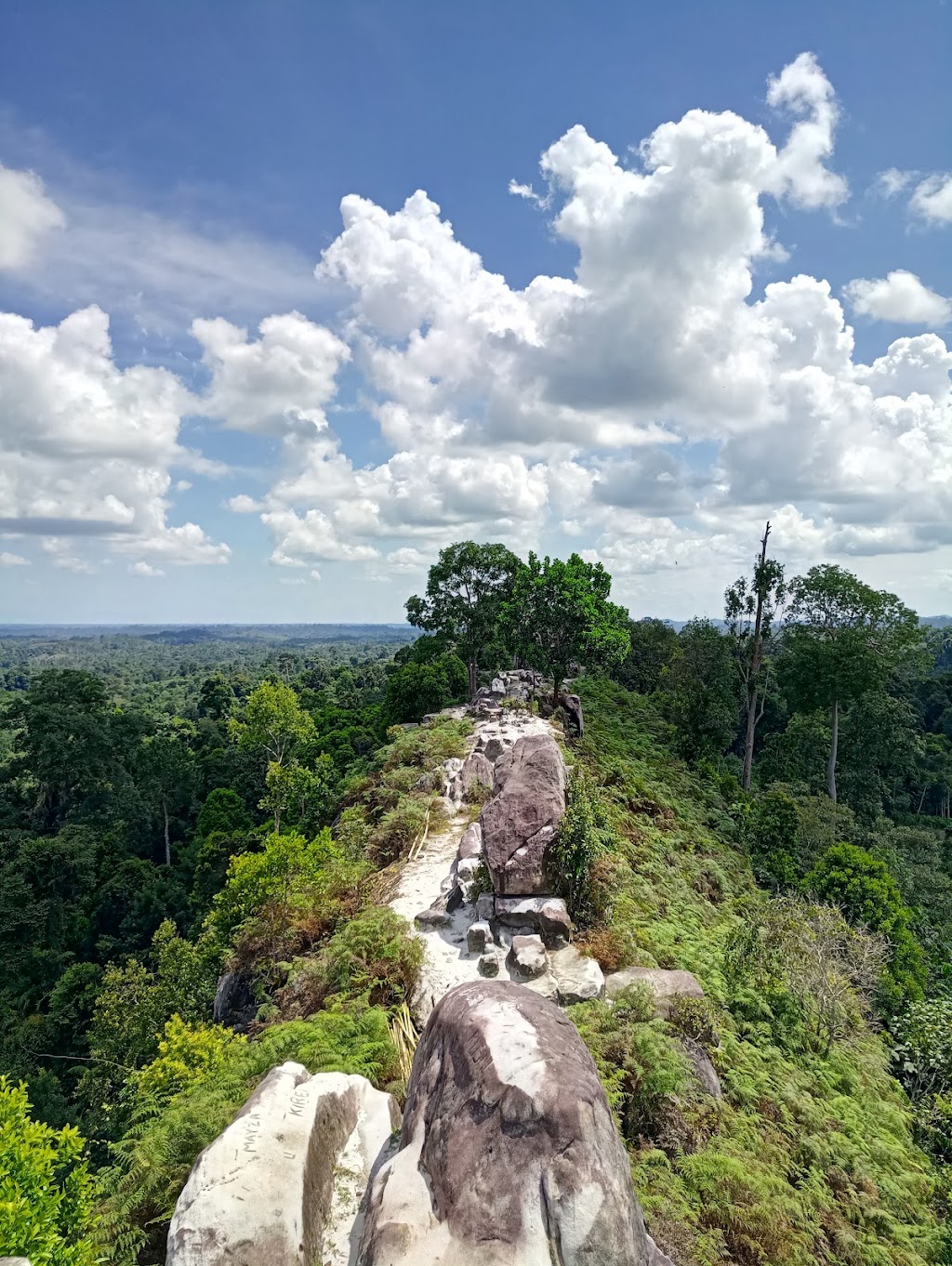 Petualangan Menakjubkan di Bukit Batu Dinding, Kalimantan Timur
