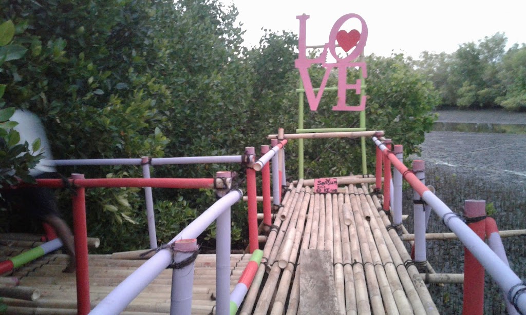 Jelajahi Keindahan Wisata Mangrove Maropokot, Nusa Tenggara Timur Jelajahi Keindahan Wisata Mangrove Maropokot, Nusa Tenggara Timur