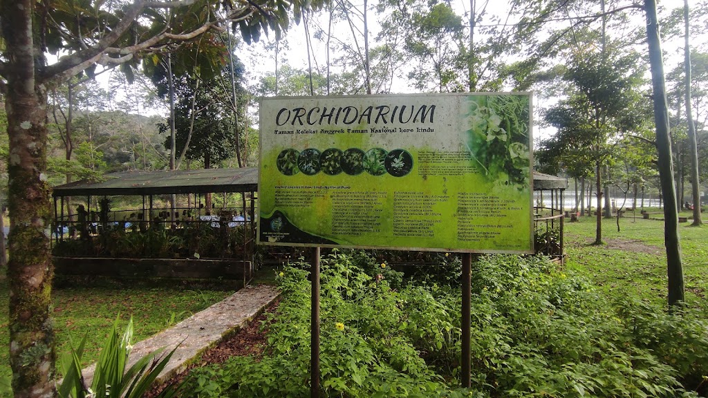 Pesona Telaga Tambing: Surga Tersembunyi di Sulawesi Tengah