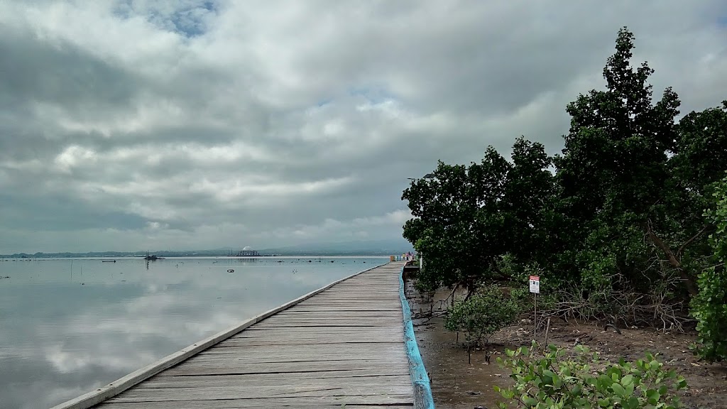 Jelajahi Taman Bakau Kendari: Surga Alam Tersembunyi di Sulawesi Tenggara