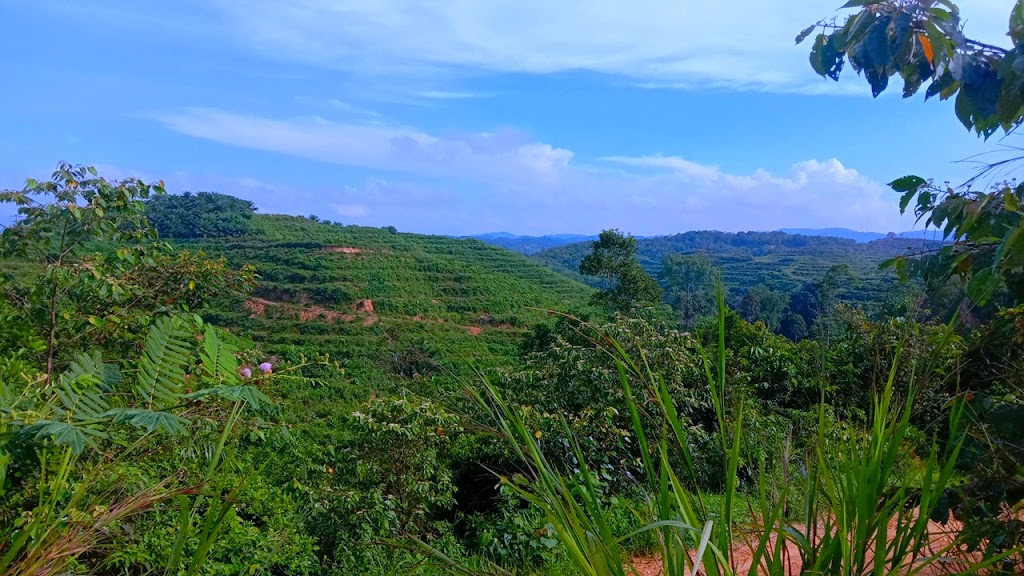 Puncak Wawobende: Surga Tersembunyi di Konawe Selatan
