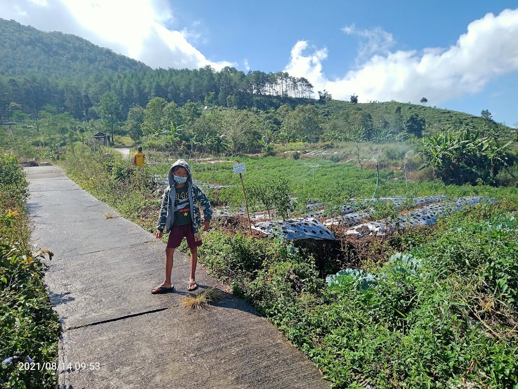 Bantir Hills: Pesona Perbukitan Semarang yang Memikat