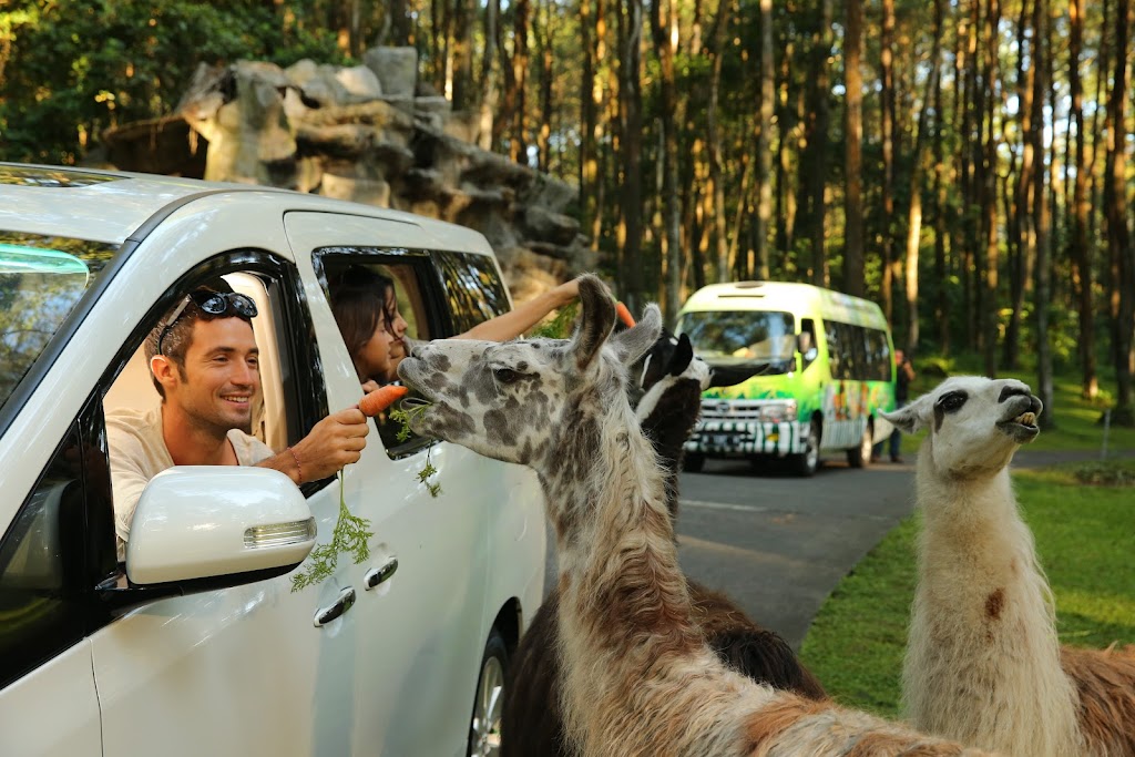 Jelajah Taman Safari Prigen: Petualangan Liar di Jawa Timur