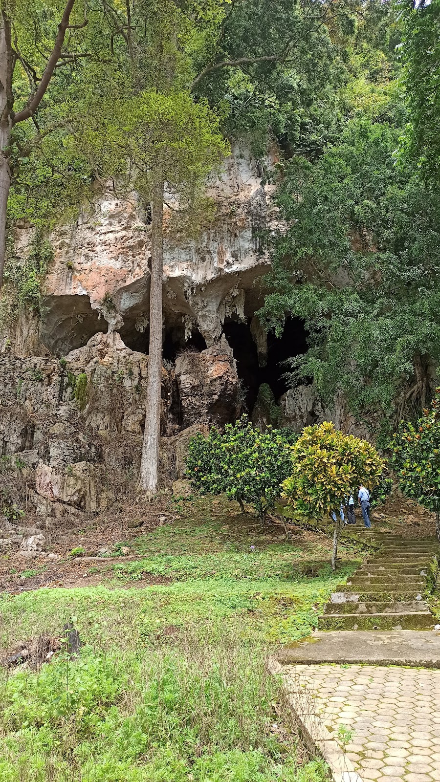 Jelajahi Goa Batu Hapu: Pesona Alam Tersembunyi Kalimantan Selatan