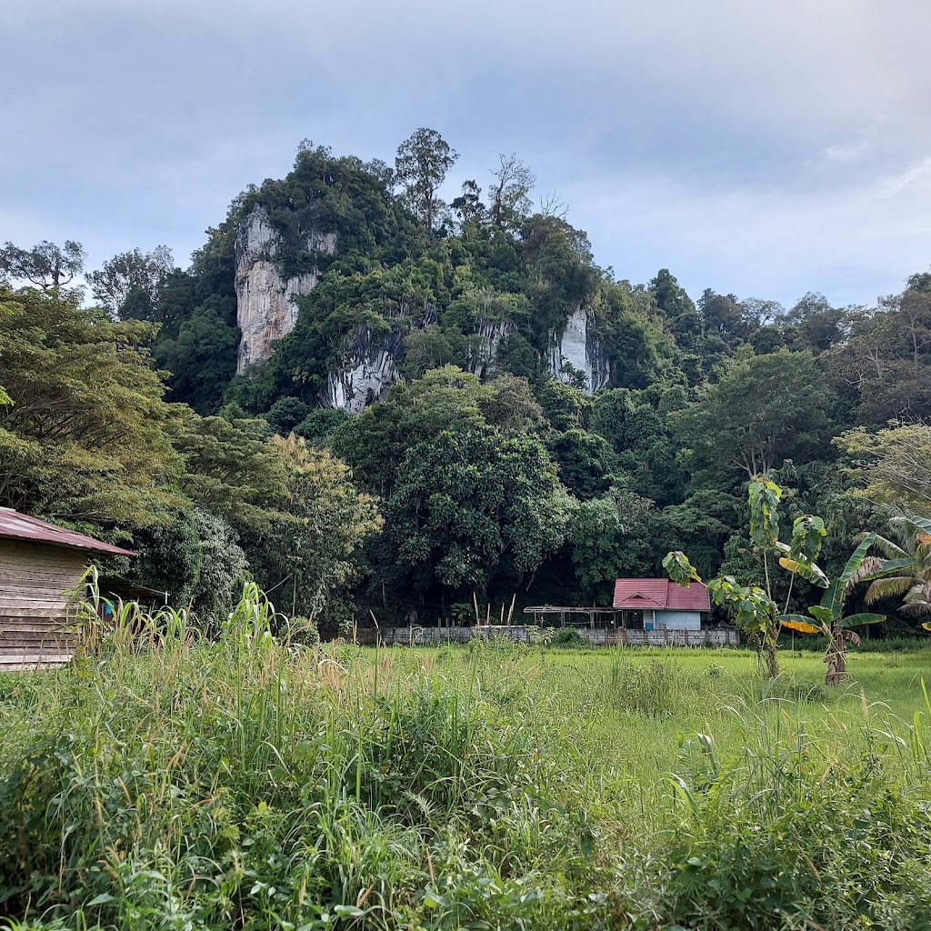 Jelajahi Pesona Wisata Gunung Putih, Kalimantan Utara