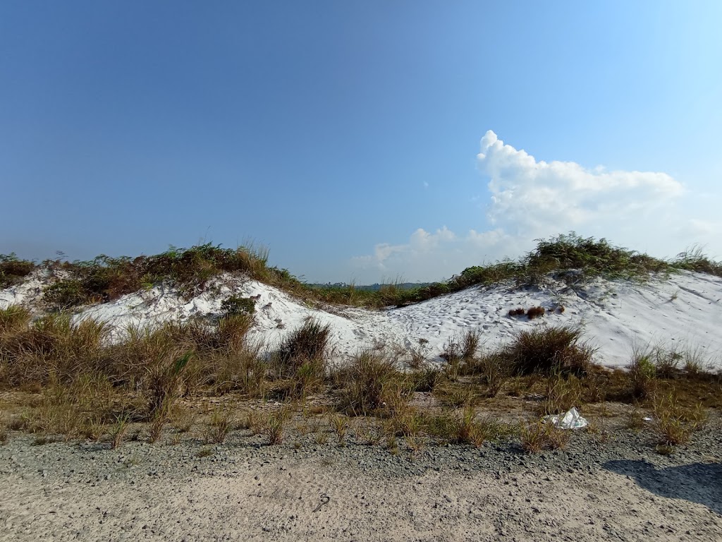 Pasir Salju Juata Laut: Pesona Tersembunyi di Kalimantan Utara