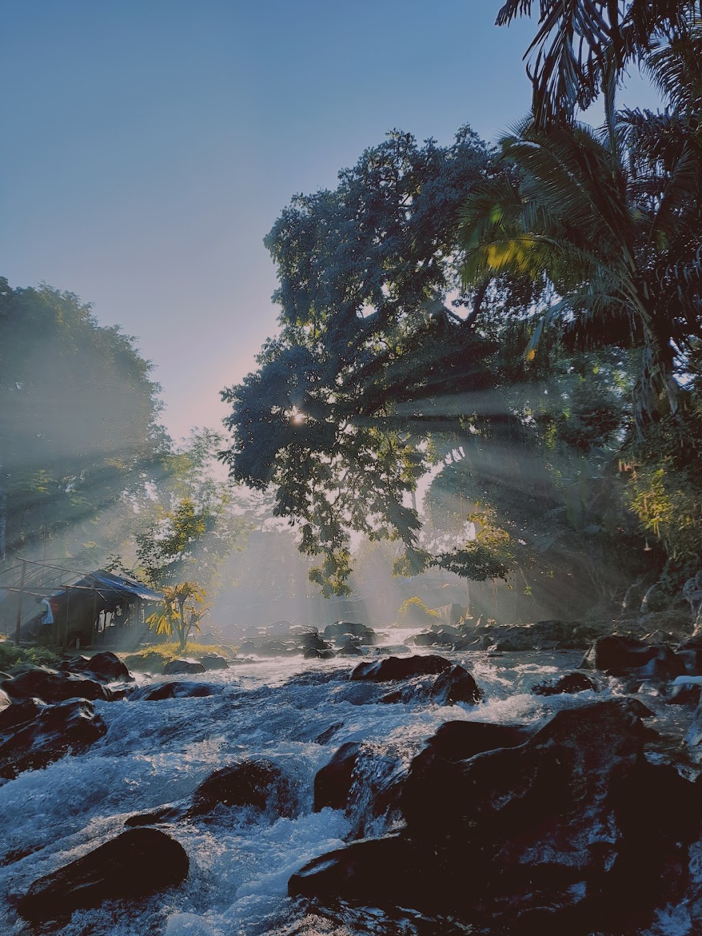 Berugak Elen Sesaot: Pesona Alam Tersembunyi di Lombok Barat